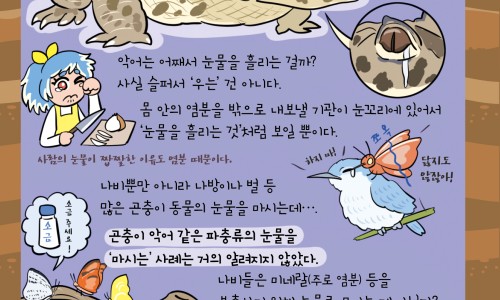 怀孕3个月孩子不想要网 - 网站提供怀孕三个月孩子多大了图片小常识、怀孕3个月孩子发育成什么样子了